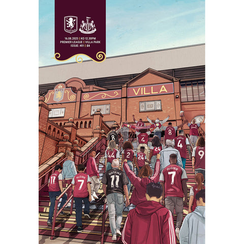 Aston Villa vs Newcastle United