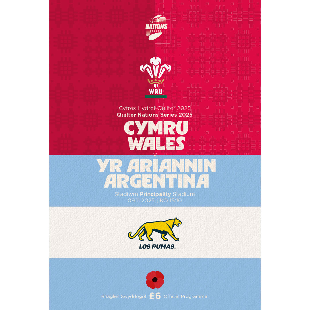 Wales vs Argentina (2025)