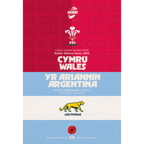 Wales vs Argentina (2025)