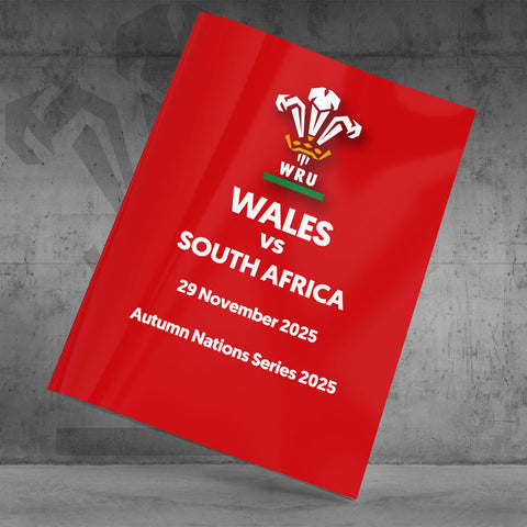 Wales vs South Africa (2025)