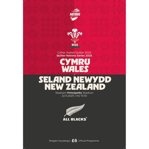Wales vs New Zealand (2025)