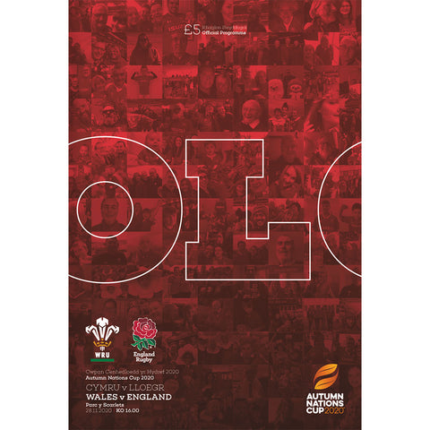 Wales vs England (Autumn Nations Cup)